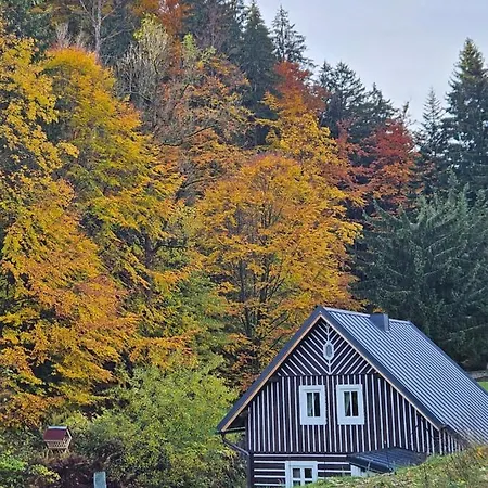 Chalet Sara Johannisbad