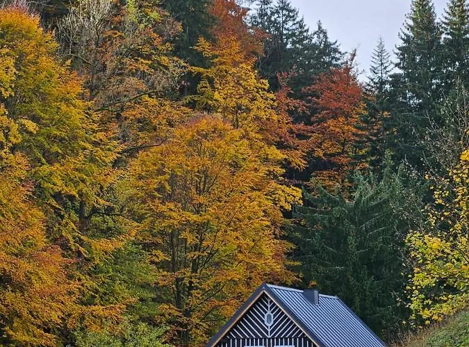 Sara Chalet